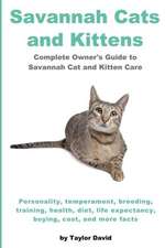 Savannah Cats and Kittens