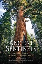 Ancient Sentinels: The Sequoias of Yosemite National Park