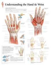 Understanding the Hand & Wrist Chart: Wall Chart