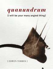 Quanundrum: [I Will Be Your Many Angled Thing]