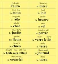 FRENCH in 10 minutes a day