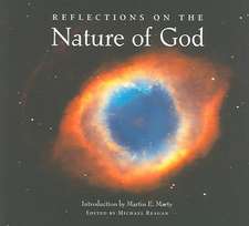 Reflections on the Nature of God