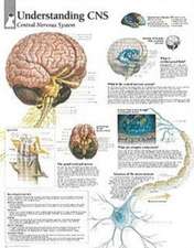 Understanding CNS Chart: Laminated Wall Chart