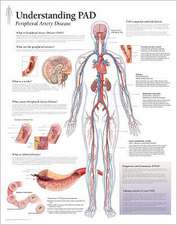 Understanding Pad Chart: Wall Chart