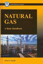 Natural Gas: A Basic Handbook