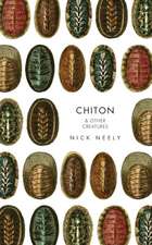 Chiton & Other Creatures