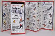 Sibley's Backyard Birds of the Upper Midwest