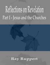 Reflections on Revelation