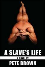 A Slave's Life