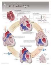 The Cardiac Cycle Wall Chart: 8140