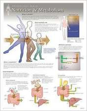 Nutrition & Metabolism Wall Chart: 8650