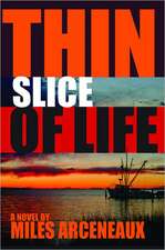 Thin Slice of Life