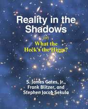 REALITY IN THE SHADOWS (OR) WH