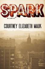 Spark: a novel