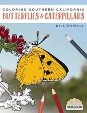 Coloring Southern California Butterflies and Caterpillars