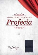 Rvr 1960 Biblia de la Profecía Color Negro Iimitación Piel / Prophecy Study Bib Le Black Imitation Leather