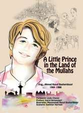 A Little Prince in the Land of the Mullahs