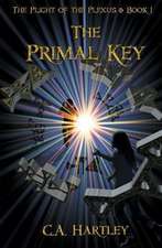 The Primal Key