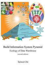Build Information System Pyramid