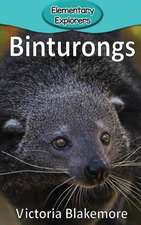 Binturongs