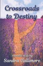 Crossroads to Destiny: A Novella of Life