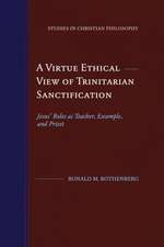 A Virtue Ethical View of Trinitarian Sanctification