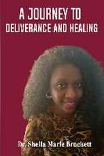 Brockett, S: JOURNEY TO DELIVERANCE & HEALI