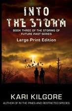 Into the Storm