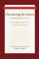 Elucidating the Intent