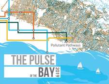 The Pulse of the Bay 2019