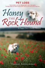 Honey the Rock Hound