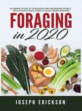 Foraging in 2020