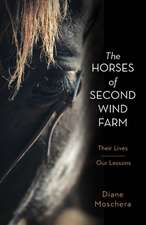 Horses of Second Wind Farm