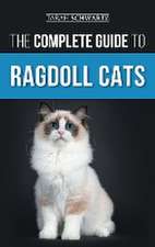 The Complete Guide to Ragdoll Cats