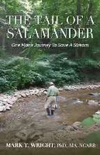 The Tail of the Salamander