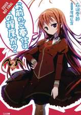 You Call That Service?, Vol. 2 (light novel)