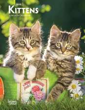 Kittens 2019 Diary