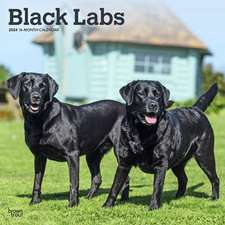 LABRADOR RETRIEVERS BLACK 2024 SQUARE