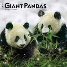 Giant Pandas 2025 12 X 24 Inch Monthly Square Wall Calendar Plastic-Free