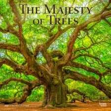 The Majesty of Trees 2025 12 X 24 Inch Monthly Square Wall Calendar Plastic-Free