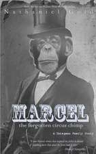 Marcel the Forgotten Circus Chimp