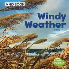 Windy Weather