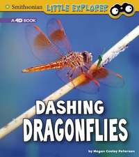 Dashing Dragonflies: A 4D Book