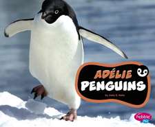 Adélie Penguins