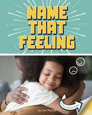 Name That Feeling: A Turn-And-See Book