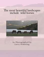 The Most Beautiful Landscapes Include Wild Horses