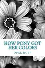 How Pony Got Her Colors