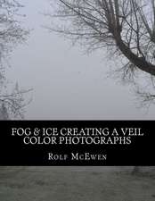 Fog & Ice Creating a Veil - Color Photographs