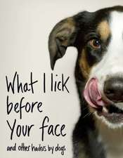 What I Lick Before Your Face