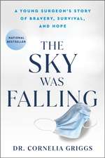 The Sky Was Falling